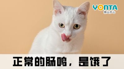 肚子總愛(ài)“咕咕叫”？除了餓，還有這4種原因！